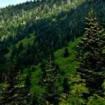 clingmans_dome_camera