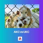 continental_kennel_club_vs_akc