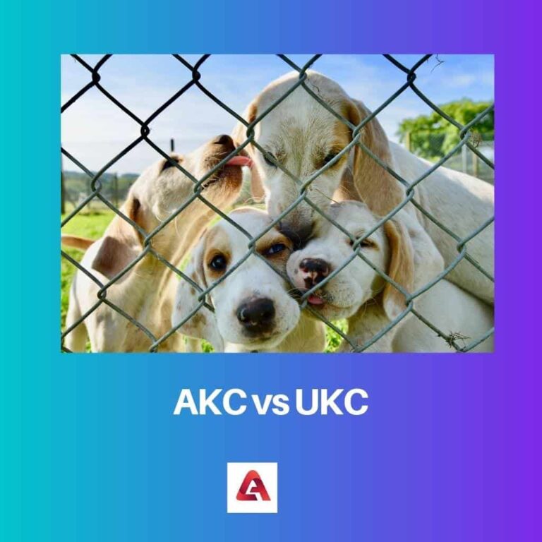 Continental Kennel Club (CKC) vs. American Kennel Club (AKC): Which is ...