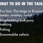 facts_about_taiga