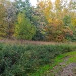 franny_reese_state_park