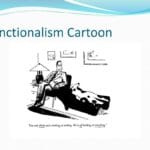 functionalist_psychologists_focus_on_the_function_of_behavior_and