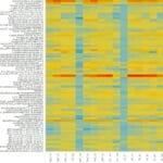 ggplotly