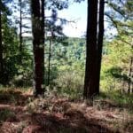 kiamichi_mountains
