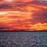 lake_erie_alligators