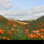 lake_mathews_estelle_mountain_reserve