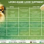 lion_s_mane_spiritual_benefits