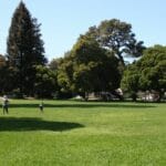 mosswood_park_oakland