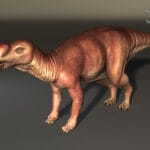 muttaburrasaurus