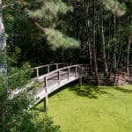 nags_head_woods_preserve