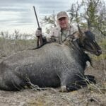 nilgai_meat