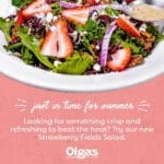 olga_s_kitchen_menu