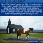 outhorse_your_email