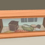 pet_snakes_home_crossword_clue