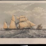 The General Screw Steam Shipping Company’s Screw Ship Propontis, Sister Ship to the Bosphorus and Hellespont belonging to the same Company, 1850 PAH8946