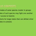 selects_from_a_large_group_nyt