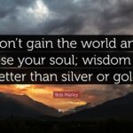 silver_soul_meaning