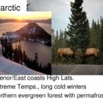 subarctic_evergreen_forest