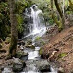 uvas_canyon_county_park
