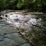 wintergreen_gorge