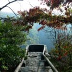 wiseman_s_view_nc
