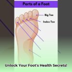 foot_parts_name_edited