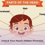 head_parts_edited