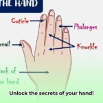 parts_of_a_hand_edited