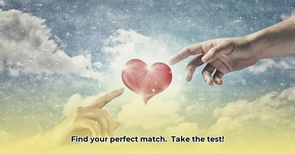 How High Are Your Standards Test: Find Your Perfect Match Now