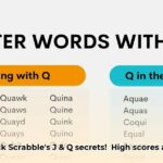 words_with_j_and_q_edited
