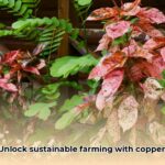 copper_plant_edited