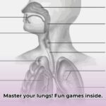 respiratory_system_labelling_edited