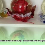 rose_globe_edited