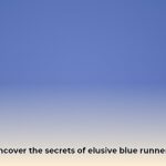 blue_runners_edited