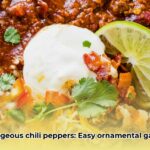 chili_chili_pepper_edited