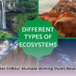 different_ways_to_write_sybau_edited