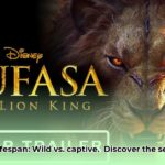 how_long_can_a_lion_live_edited