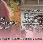 sybau_acronym_meaning_edited
