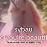 sybau_full_form_edited