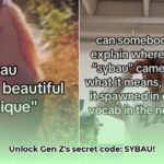 sybau_slang_meaning_edited