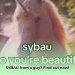 what_does_sybau_mean_from_a_guy_edited