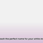 white_horse_names_edited