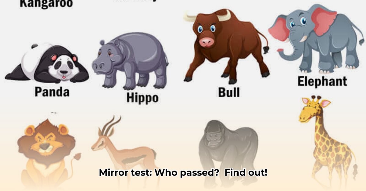 Animals That Have Passed the Mirror Test A Guide to Self Aware Species edited