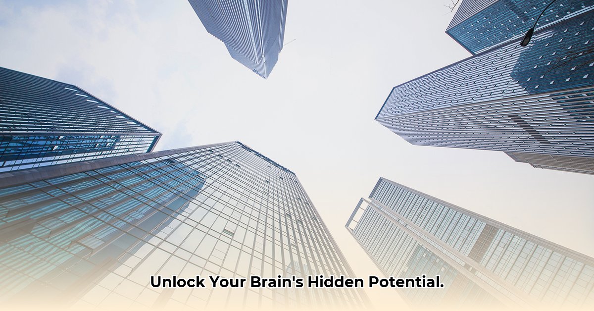 Building a Second Brain A Digital System for Organizing Your Knowledge edited