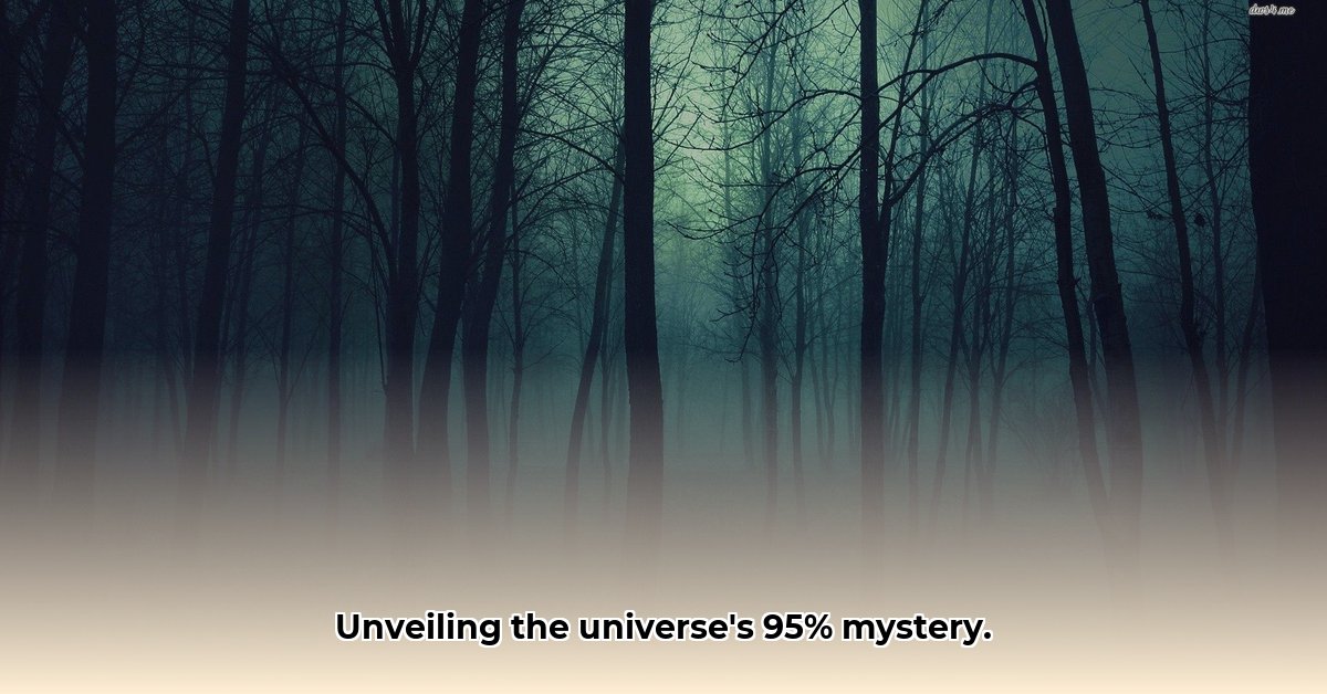 Dark Matter and Dark Energy The Invisible 95 of Our Universe edited