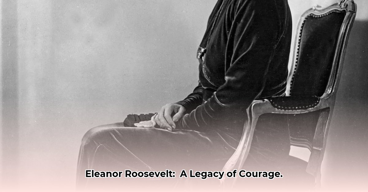 Eleanor Roosevelt The First Lady Who Redefined the Role and Fought for Human Rights edited