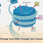 Epigenetics__How_Your_Lifestyle_Can_Change_Your_DNA_for_Future_Generations_edited