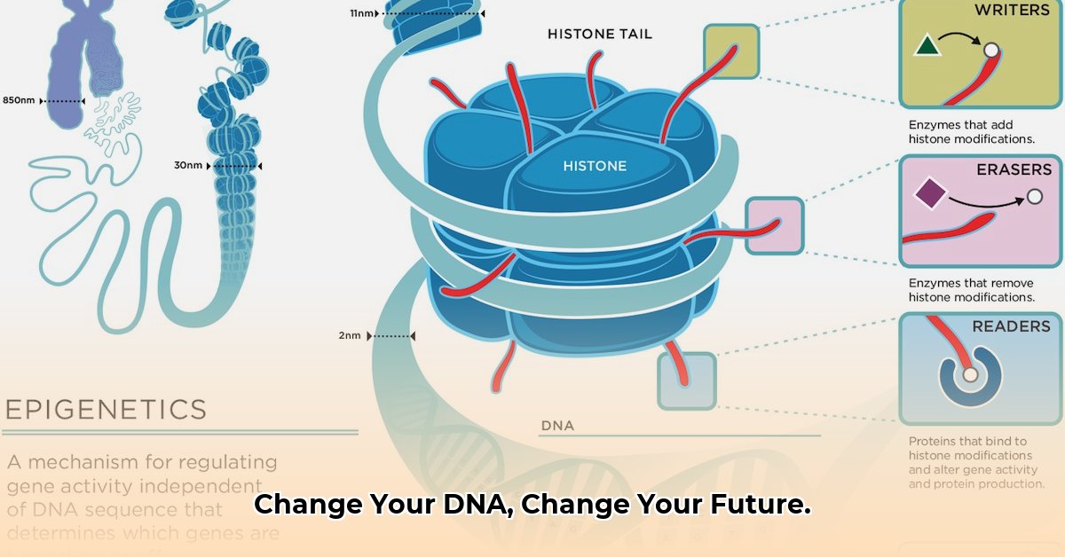 Epigenetics How Your Lifestyle Can Change Your DNA for Future Generations edited
