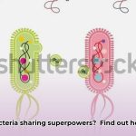 Horizontal_Gene_Transfer__How_Bacteria_Share_DNA_and_Superpowers_edited