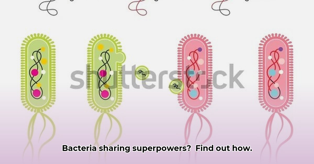 Horizontal Gene Transfer How Bacteria Share DNA and Superpowers edited